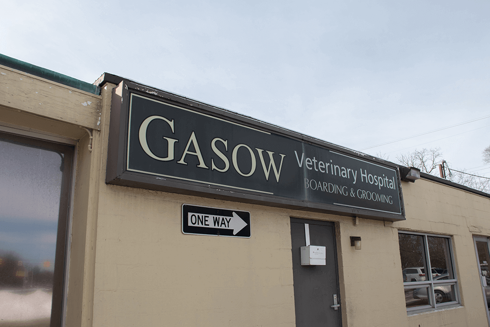 Gasow Tour 18