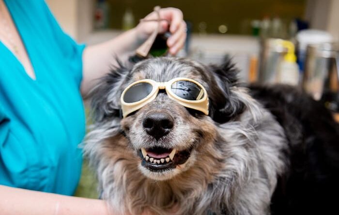 laser-therapy